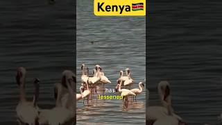 Lake Naivasha in Kenya Nature’s Big Changes [upl. by Aphrodite]