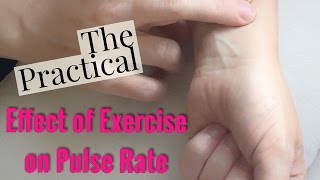 Examining the Effect of Exercise on Pulse RateUpdatedLeaving Cert Biology [upl. by Zebada]