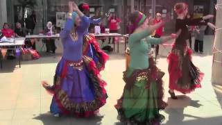 Egyptian Ghawazee style folk dancers [upl. by Budwig]