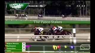 “The Pasco Stakes 2022” Tampa Bay Downs Horse Markhamian [upl. by Lachlan]