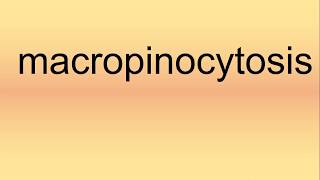 Macropinocytosis Pronunciation  How to Say  How to Pronounce [upl. by Nolyarb]