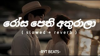 rosa pethi athurala රෝස පෙති අතුරාලාslowedreverb song🥰❤manoparakata chamara weerasinghe [upl. by Annaes987]