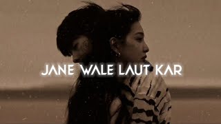 Jane Wale Laut Kar  Slowed And Reverb  B Praak  Payal Dev [upl. by Yelrehs306]