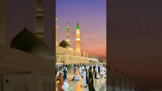 Yah Shahar Madina Karim hai youtubeshorts 🤲🕋🤲 [upl. by Ainat]