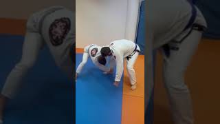 Cross Ankle Pick to Armbar  Wrestling for BJJ Demo Short [upl. by Yclehc]