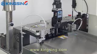 Wire Stripping Sealing Crimping and Tin Soldering Machine [upl. by Haslam596]