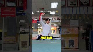 SPLITS Stretching Routine🫡🥋 flexibility martialarts [upl. by Nirok]