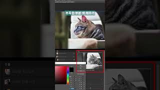 흑백사진 컬러로 만드는 방법 칼라 이미지 색상화 수정 보정 자동채색 shorts [upl. by Abelard492]