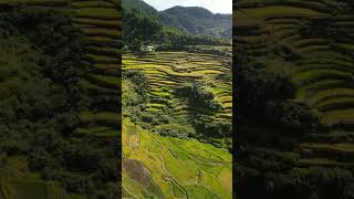 Maligcong Bontoc 🍃🍃😯😯 [upl. by Etam]