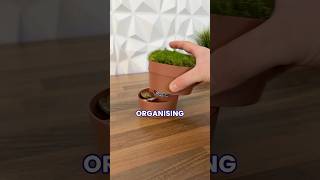 This Plant Pot will organize your life 3dprinting plants shorts [upl. by Hairabez752]