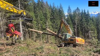 Windwurfaufarbeitung mit LIEBHERR 924  CAT 323F  CAT 323E  Komatsu PC210  TR AQ 30  MS 462 [upl. by Eilesor]