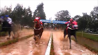 PIRULA vs Anastacia Lake vs Galega Cartel  Hipodromo Santo Tomas  Paraguari  16062024 [upl. by Eartnoed]