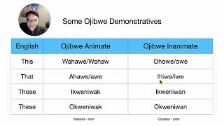 Some Ojibwe Demosntratives [upl. by Enylorac311]