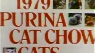 Purina Cat Chow Calendar Cats 1978 TV Commercial HD [upl. by Conard848]