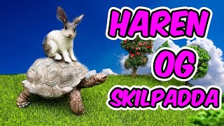 Haren og Skilpadda 🐰🦔Norske folkeeventyr  Eventyr for barn [upl. by Seabrook]