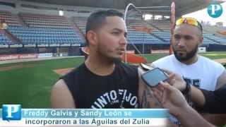 Sandy León y Freddy Galvis entrenaron con las Águilas Luis Bravo [upl. by Macnair173]