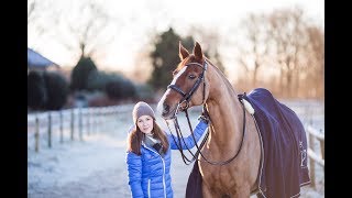 Püppi Training Januar 2018  Passage  Trabverstärkung  Traversalen [upl. by Arevle]