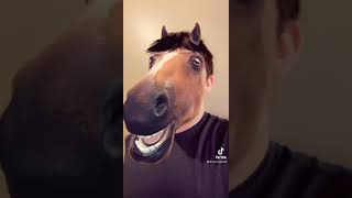 TikTokSnapchat Filter Horse Head My most viewed video on YouTube 🐴 [upl. by Adnilrev163]