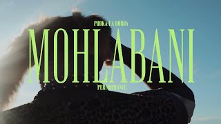 Phoka ea Boroa  Mohlabani Official Performance Video [upl. by Gabbey]