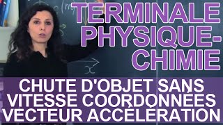 Chute dobjet sans vitesse 2  coordonnées vecteur accélération  Physique  Terminale [upl. by Hali]