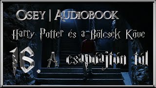 Harry Potter és a Bölcsek Köve hangoskönyv  16 fejezet [upl. by Braynard263]