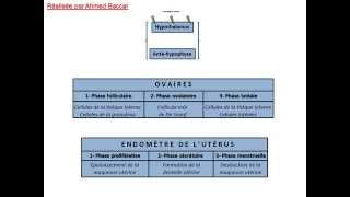 Régulation du cycle sexuel chez la femme [upl. by Spenser]