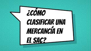 Cómo se clasifica una mercancía en el Arancel Aduanero [upl. by Devondra]