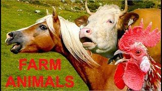 For Kids 30 beautiful farm animals with real sounds Part 1  Für Kinder Bauernhoftiere Tierstimmen [upl. by Flan]