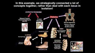 Teaching Orthopaedics Is Not Easy  Everything You Need To Know  Dr Nabil Ebraheim [upl. by Oijres]