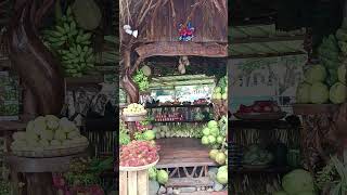 Kabankalan City Charter Day beautiful exhibit of local farm products [upl. by Eillom]