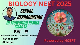 NCERT Class 12  Endosperm and embryo  Post  fertilization  Structure amp Development [upl. by Gnek]