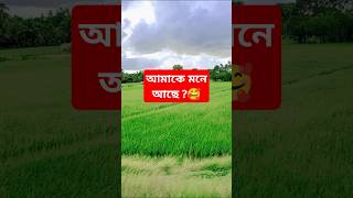 O Meghe Meghe Dhaka Du Chokhe viralvideo shortsviral village villagebeauty viralworld [upl. by Constantine]