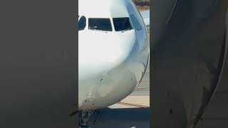 A330 extreme Closeup a330 closeup airplane airbus aviation avgeek [upl. by Ainirtac]