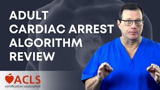 Understanding the Adult Cardiac Arrest Algorithm [upl. by Thorncombe576]