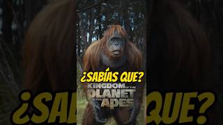 Sabias que en la película El planeta de los simios un nuevo reino [upl. by Antonina]