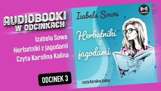 Herbatniki z jagodami  Izabela Sowa Audiobook PL  38 [upl. by Carmel]