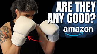 Cheapest Muay Thai Gloves on Amazon  Sanabul Muay Thai and Kickboxing Gloves Review [upl. by Eulalia]