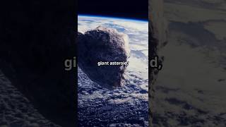 What If a Giant Asteroid Hit Earth 🌍💥 shorts [upl. by Gloriana]