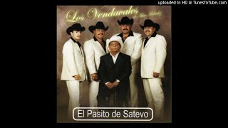 los vendavales  una texana 100x [upl. by Cassius]