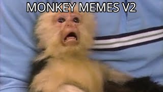 Monkey Memes V2 [upl. by Ahsienal808]