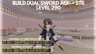 Toram Online Dual Sword Build AGI to STR Lv 290  Maximizing Aerial Cut Damage [upl. by Damalis]