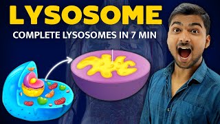 चाह कर नही भूल पाओगे  Lysosomes in Hindi [upl. by Kaleena]