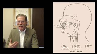 Arbitrariness of Language Part 1 Sound [upl. by Goldstein637]