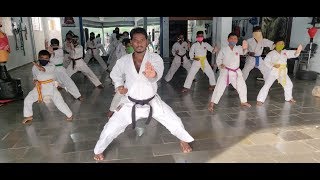 Live karate class  SS karate amp gymnastics [upl. by Nikkie]