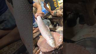 Amazing Mrigal Fish Cutting Skills In Bangladesh Fish Market By Expert Cutter shorts [upl. by Theressa393]