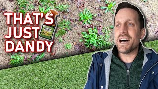 Kill WEEDS Without Killing Your GRASS This Spring  How To Kill Weeds 3 Ways With Spectracide Stuff [upl. by Dijam]