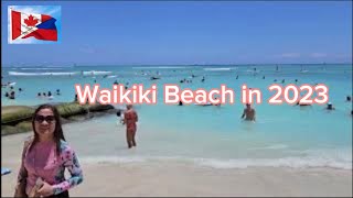 From our Hotel to Waikiki Beach waikiki waikikibeach honolulu hawaii trending trendingvideo [upl. by Eiramasil570]