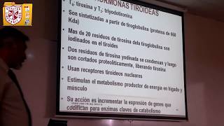 Bioquímica  Hormonas  H Leazama [upl. by Nilak]