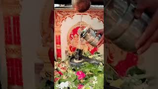 lordshiva shivalingam devotional believe ytshorts viralvideo trending youtube india vizag [upl. by Anialad]