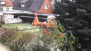 Hubschrauber startet mitten in Nachbars Garten [upl. by Niple]